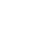 Icon Support