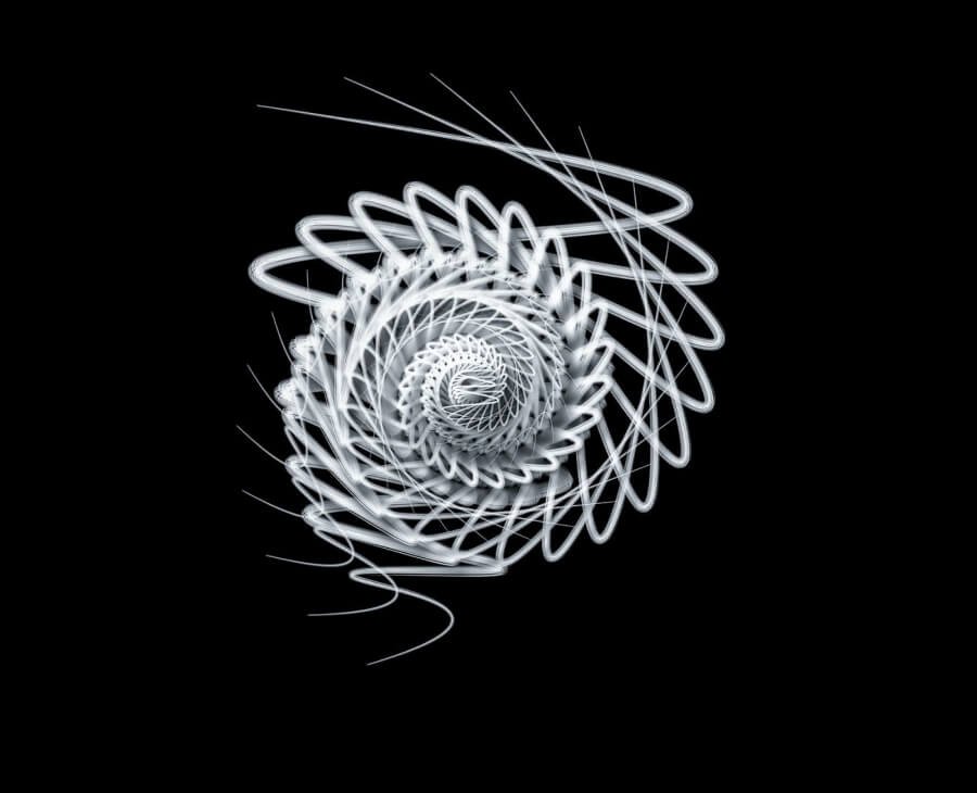 Portfolio D